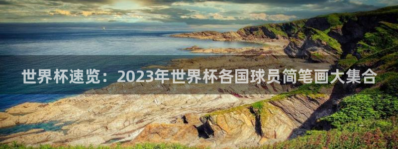 世界杯直播网站：世界杯速览：2023年世界杯各国球员简笔画大集合