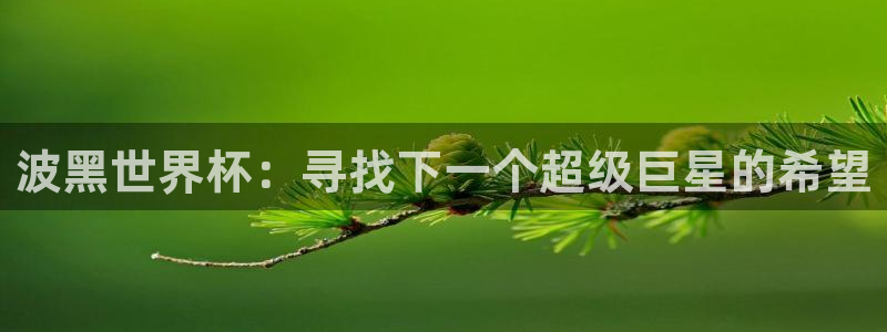 2026世界杯中国队：波黑世界杯：寻找下一个超级巨星的希望