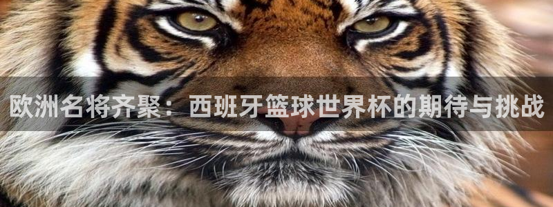 世界杯48支球队赛制：欧洲名将齐聚：西班牙篮球世界杯的期待与挑战