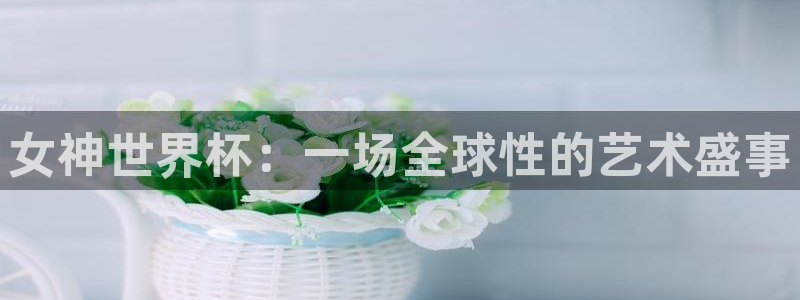 世界杯预选赛规则：女神世界杯：一场全球性的艺术盛事