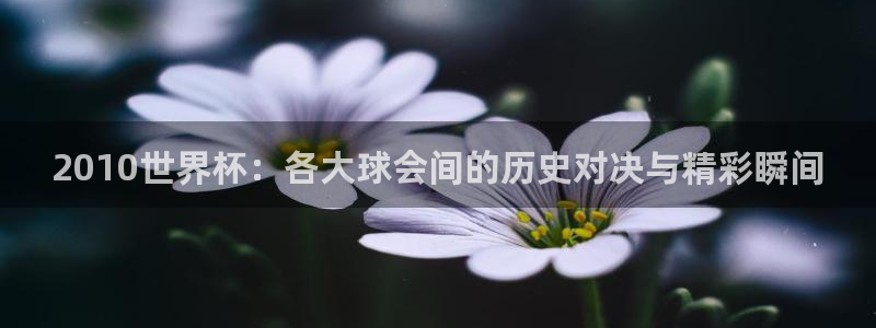 世界杯直播平台：2010世界杯：各大球会间的历史对决与精彩瞬间