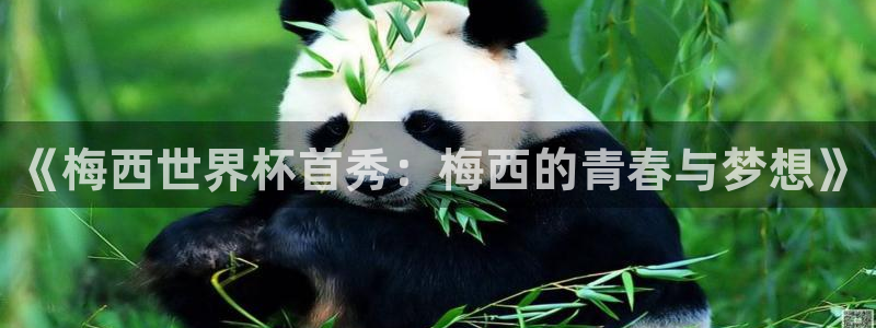 2026年世界杯时间表：《梅西世界杯首秀：梅西的青春与梦想》
