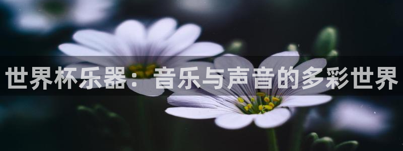 世界杯比赛：世界杯乐器：音乐与声音的多彩世界