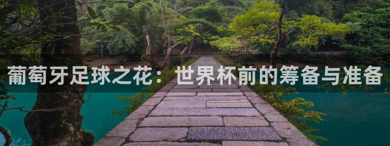 2026世界杯赛：葡萄牙足球之花：世界杯前的筹备与准备