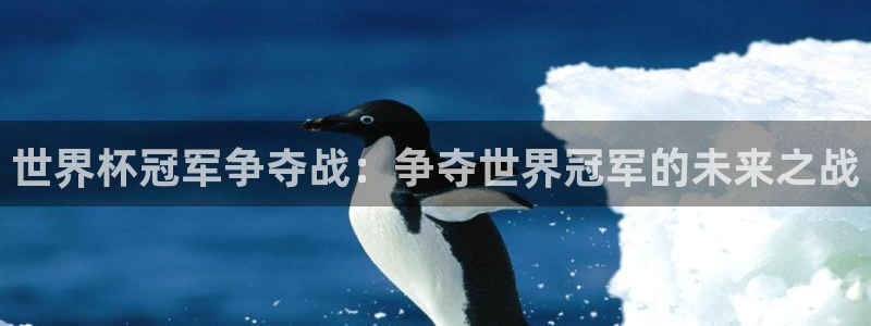 欧联杯直播：世界杯冠军争夺战：争夺世界冠军的未来之战