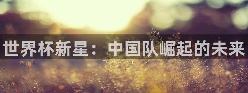 世界杯2026赛程表：世界杯新星：中国队崛起的未来