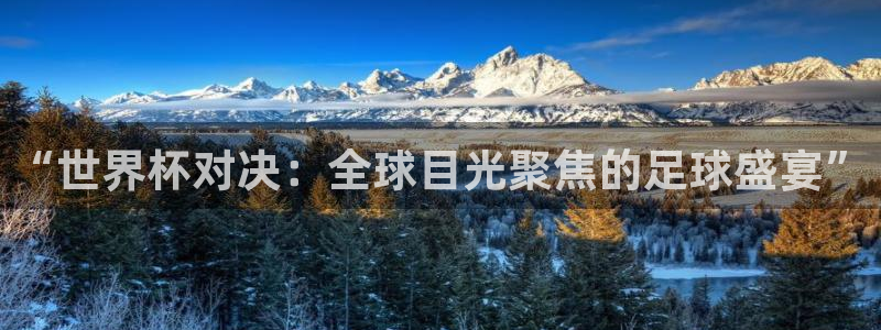 世界杯 直播：“世界杯对决：全球目光聚焦的足球盛宴”