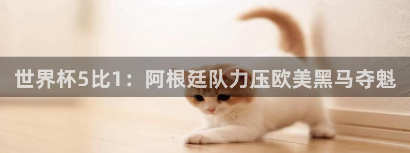 预选赛世界杯：世界杯5比1：阿根廷队力压欧美黑马夺魁