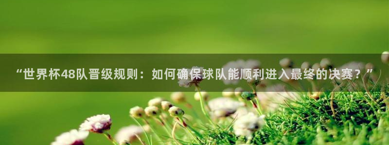 世界杯预选赛亚洲区赛程：“世界杯48队晋级规则：如何确保球队能顺利进入最终的决赛？”