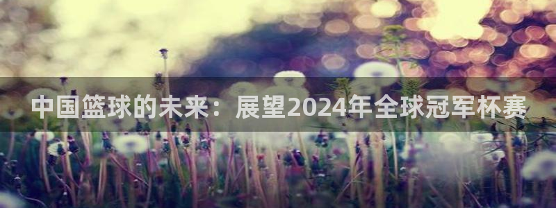 男足世界杯预选赛赛程：中国篮球的未来：展望2024年全球冠军杯赛